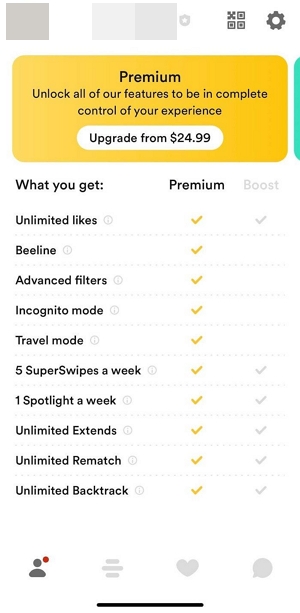 Bumble Premium subscribers