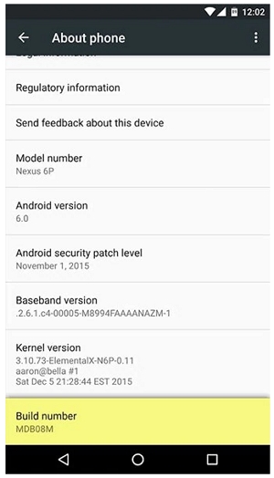 Enable Developer Options